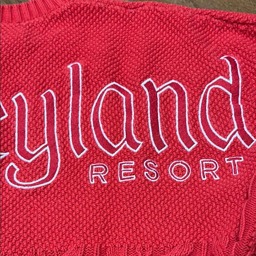 Disney 2023 Holiday Red Cable Knit Sweater Spirit Jersey with Disneyland Logo - Picture 7 of 8
